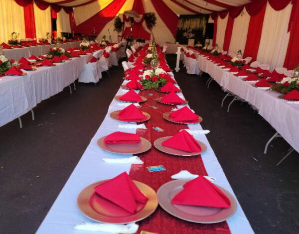 Nicole Party Rental
